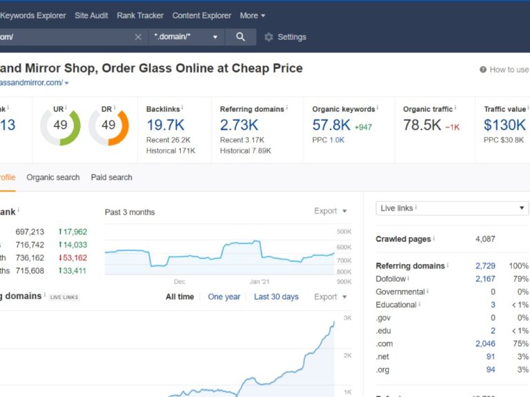 SEO portfolio sample 8