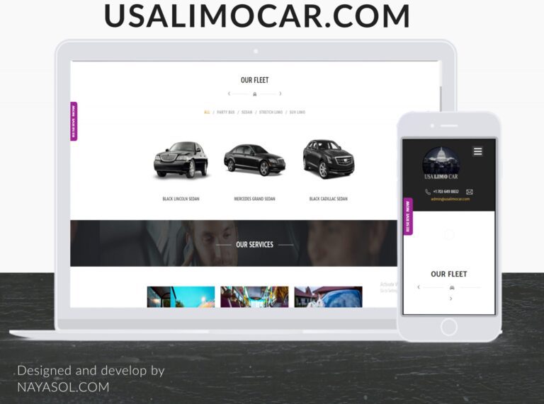 USA Limo Car website project